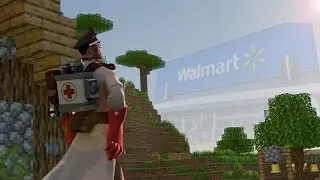 Going Back to my Roots (Vanilla Minecraft Server)