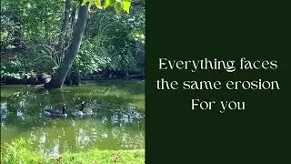 shinything - Midsommar (Lyric Video)