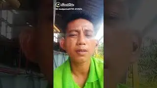 5204903896577021848 playinolputra mp4 logo ID