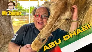 The Most Exciting Breakfast with African Giraffes at Emirates Park Zoo & Resort, Abu Dhabi, UAE
