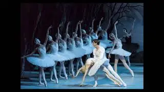 BizZAro - Swan Lake
