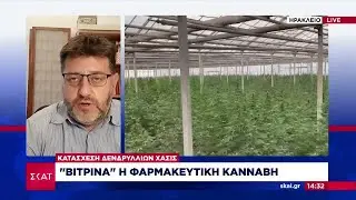 Κατάσχεση δενδρυλλίων χασίς - 
