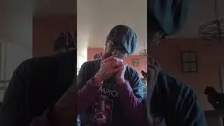 All-4-One I Swear Harmonica Cover 