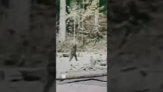 BIGFOOT 1967 - AI Enhanced vs Video Editor