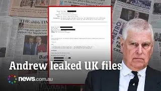 Ex-prince Andrew allegedly shared UK trade files with Epstein