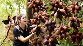 Harvest Black Snake Skin Fruits Goes To Market Sell | Have You Ever Eaten This Fruit? UR L&yacute; Thị Hồng