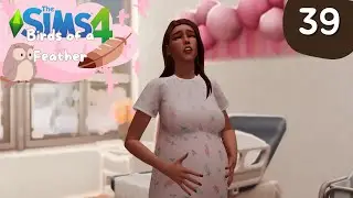 Krankenhausdrama | Sims 4 Birds of a Feather Challenge | Part 39