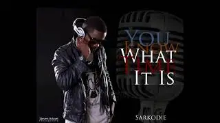 Sarkodie - Free Night Call