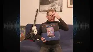 Vinylogramm No 1 Heavy Load Blues/ Govt'n Mule oder &uuml;ber die Liebe