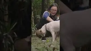 Speak Their Language! 🐾🗣️ Pet Communication Techniques