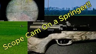 Quick Tactacam Solo Extreme Testing On A Springer.