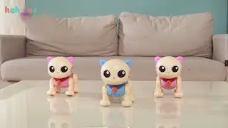 Intelligent Programming Stunt Robot Cat