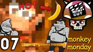 [Vinesauce] Joel - Monkey Mondays: Donkey Kong Country 2 Highlights ( Part 7 )