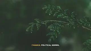 How Climate Change Impacts Agriculture - Everything You Need to Know