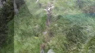 Val Canzoi San  Gregorio nelle Alpi