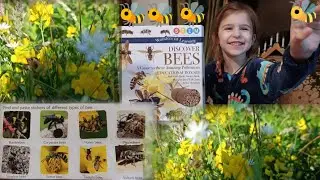 Bees🐝Wonders of Learning #bee #honey #beehive #insects #nature #educational #video #home #viralvideo