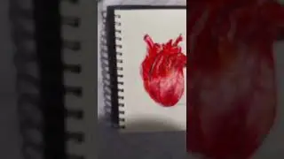 Wait for it...|🫀|#aesthetic #shortvideo #shorts #viral #art #realistic #drawing #goviral #heart