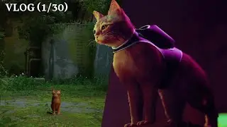 Cat's Eye View: Exploring the Cybernetic Wonders of Stray - A Stray 2022 Gaming Vlog | VLOG#1