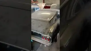 コヨーテパワーのエレノアプロジェクト！