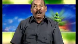 WordisLive TV