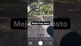 Como tomar fotograf&iacute;as profesionales con celular #fotografia #selfie #poses