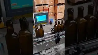 LINIA DOZUJĄCA DO OLEJU / OIL FILLING CAPPING LINE