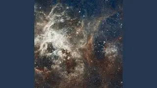 UNIVERSE FLIGHT