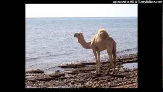 kenan teke back to the kalahari (original_mix)