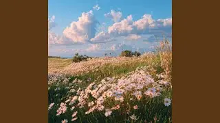 hopeful skies