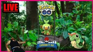 (🔴LIVE) ✨ Shiny ✨ Chimpep Community Day | Pokémon GO Deutsch # 3622