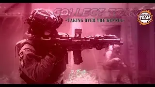 COLLECT  Team   