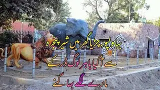 Visit to Bahawalpur Zoo // Animal love // Pakistan // Daily Vlogs// RB officla