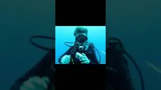 Where Going on an Avdenture   Flinders Reef