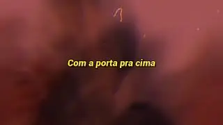 Marginais trap