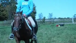 maria and aspen riding a fatty little pony