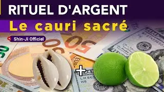 RITUEL D'ABONDANCE FINANCI&Egrave;RE : Le  myst&eacute;rieux pouvoir du cauri #Bain #Argent #Prosp&eacute;rit&eacute; #CodexDor&eacute;