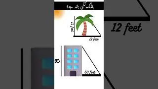 Find Height of Building Using a Tree's Shadow | Real-Life Math |  Geometry |  Ratios and Proportions