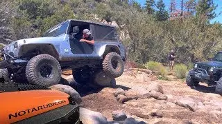 John Bull Gatekeeper In Big Bear
