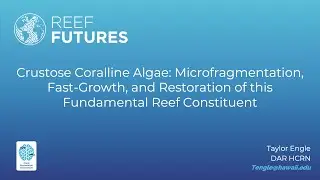 Crustose Coralline Algae