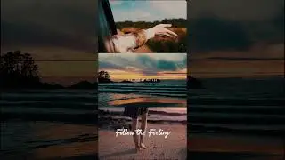 Follow the Feeling don&rsquo;t ask why - VOXAIA