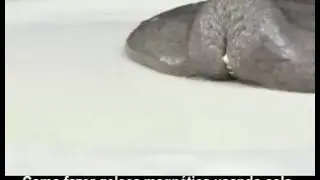 Como fazer geleca magn&eacute;tica