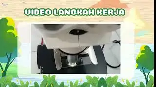 Mengamati Perbedaan Jaringan Batang dan Daun Pada Tumbuhan Kutu Babi(Clidemia Hirta)