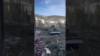 LKT TAF SKIDDER John Deere Tigercat #forestry #forest #moutains #mountain #mud #logs