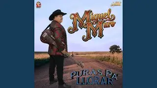 Mal Parido