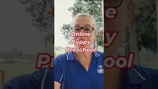 Your puppy's future starts here! Avoid the confusion - online puppy training proven to work! #puppy