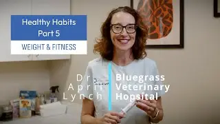 Healthy Habits of the Diligent Pet Owner 🐾 | Part 5: Pet Weight & Fitness