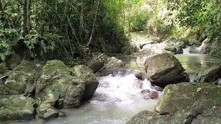 Colombia: Ciudad perdida de Fal&aacute;n. Mariquita Tolima 2025. Un recorrido lleno de historia.