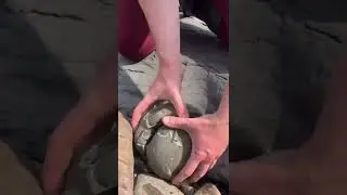Huge Rock Cracked Open To Reveal Amazing Fossil