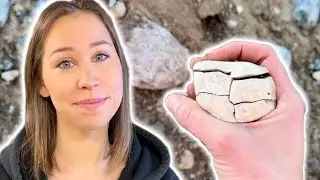 I Went Rock Hunting on a Minnesota River and Found Something Interesting..