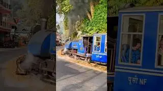 #steam toy train ll unesco world heritage site ll NF railway #indian #railway #dhr #darjeeling